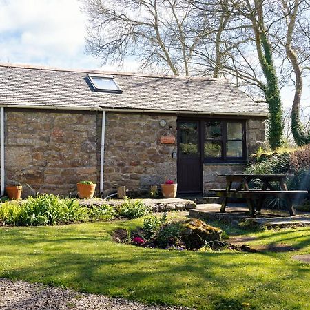 Cosy Cottage In The Beautiful Lamorna Valley - Walk To The Pub & Sea Paul Bagian luar foto